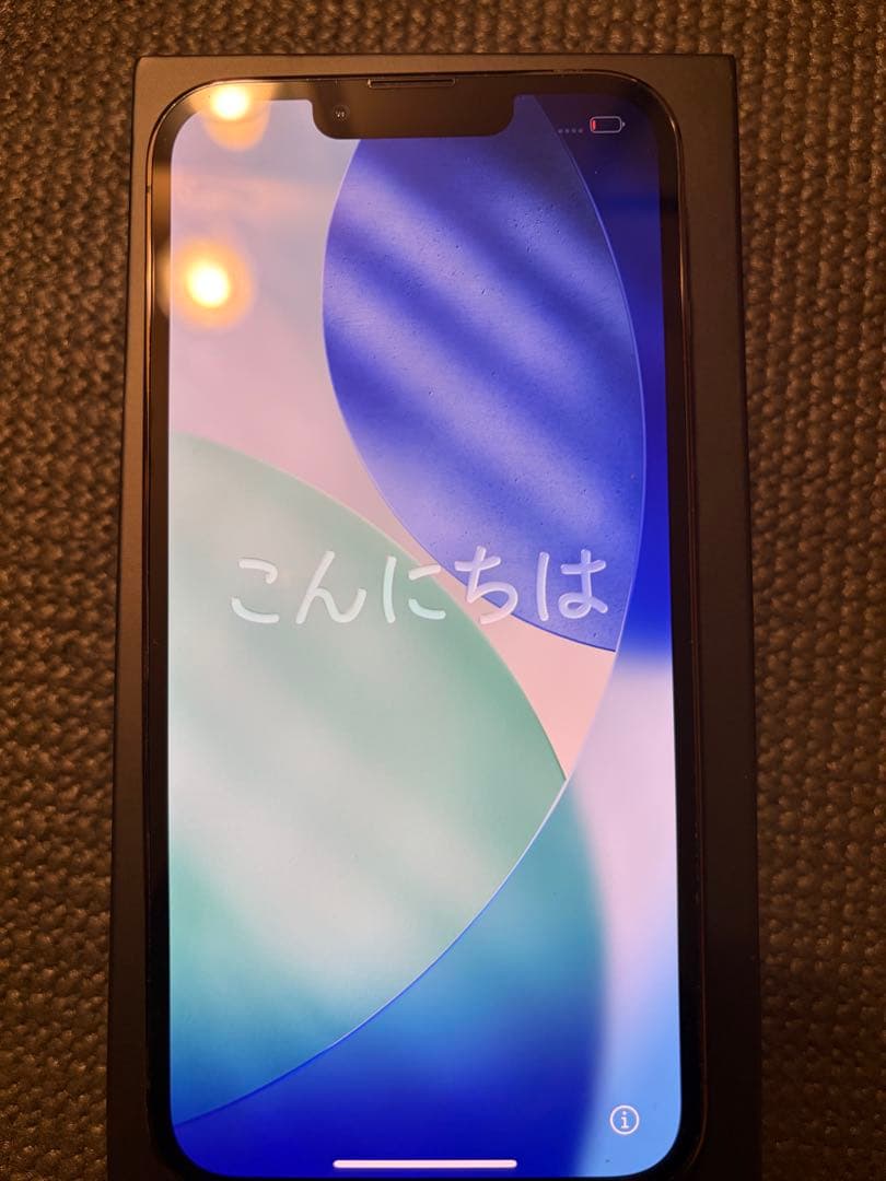 Apple iPhone 13 Pro グラファイト 本体 256GB