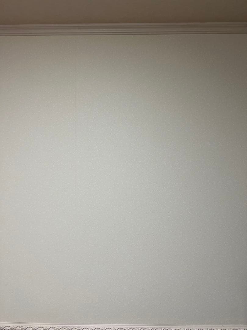 Apple iPhone 13 Pro グラファイト 本体 256GB