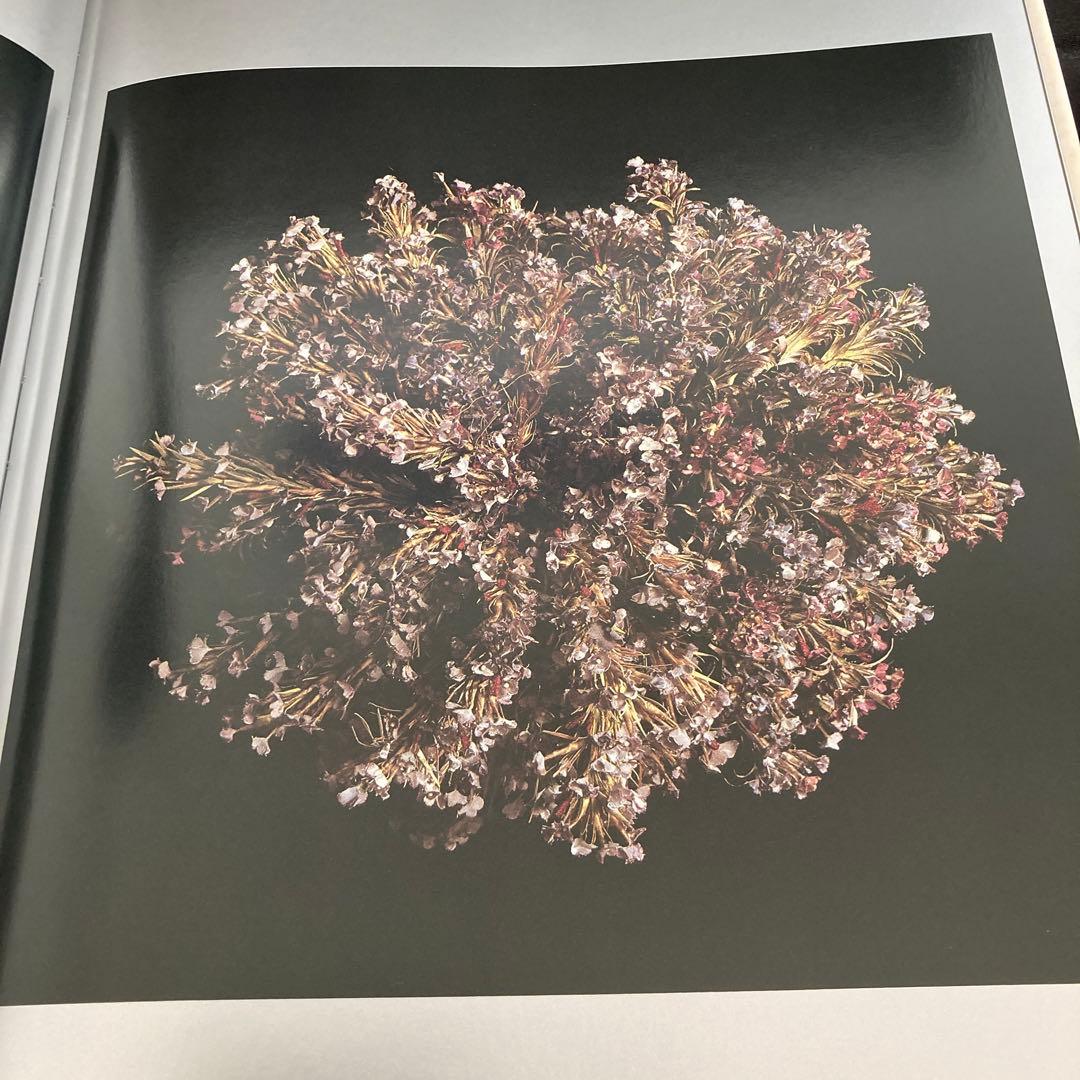 【布花】山上るい　作品写真集　希少本（サイン入り）