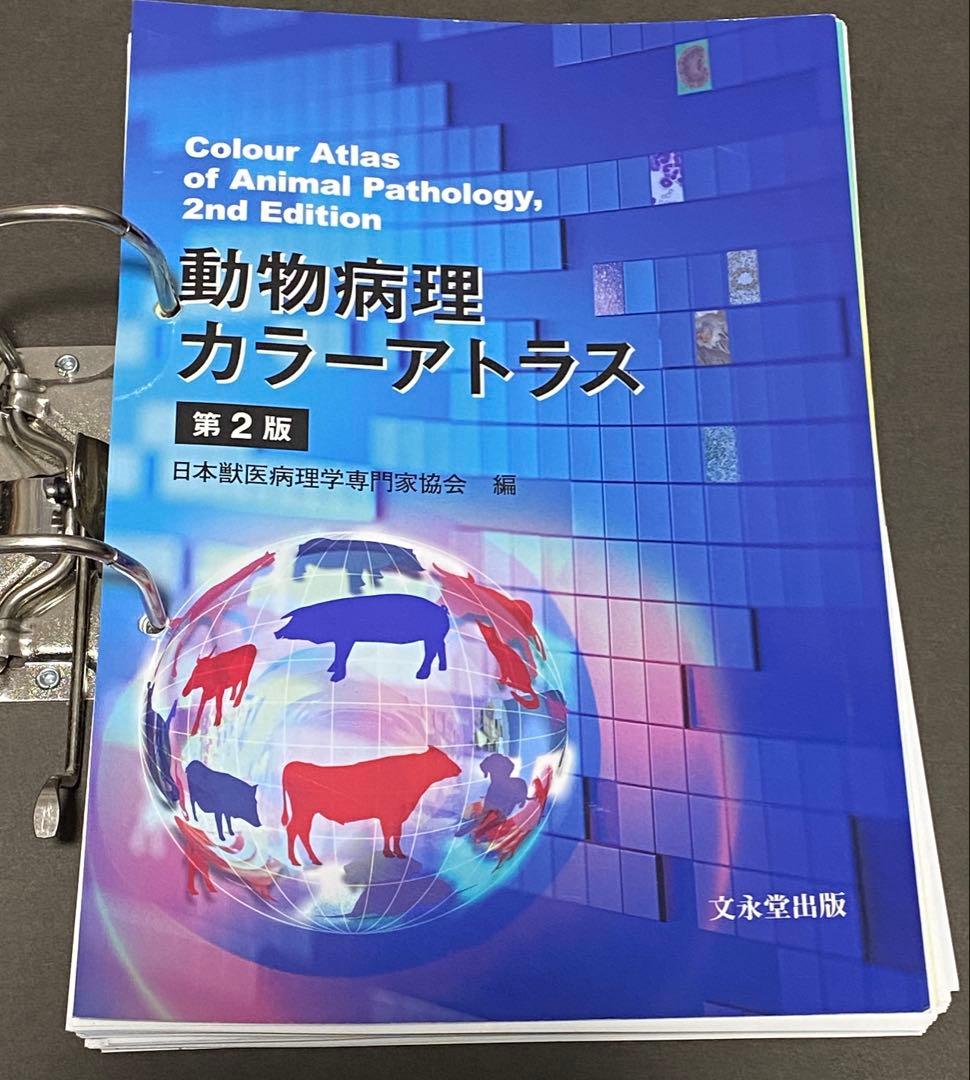 【中古】動物病理カラーアトラス第2版　※裁断済