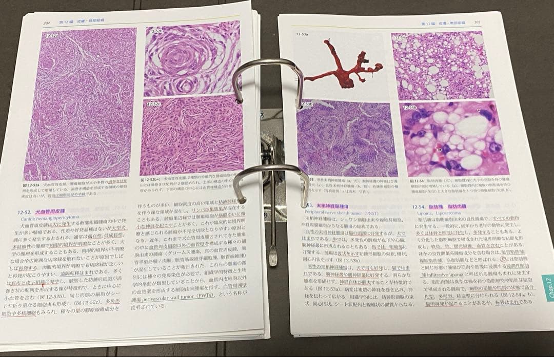 【中古】動物病理カラーアトラス第2版　※裁断済