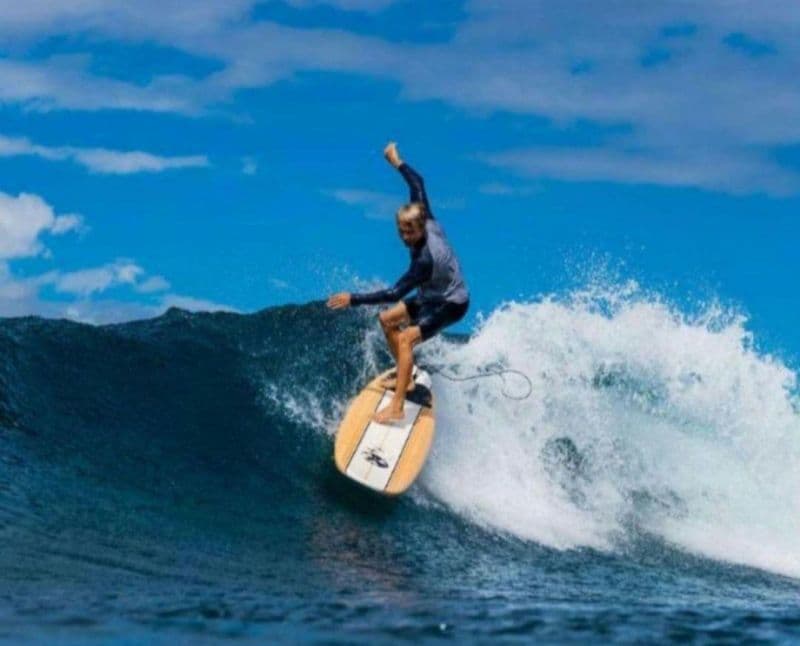 【引取限定】ジェリーロペス　ロングボード　初心者にもオススメ