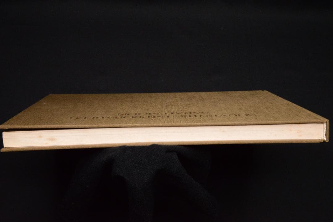 【Souvenirs Improbables 】Sarah Moon 1981年