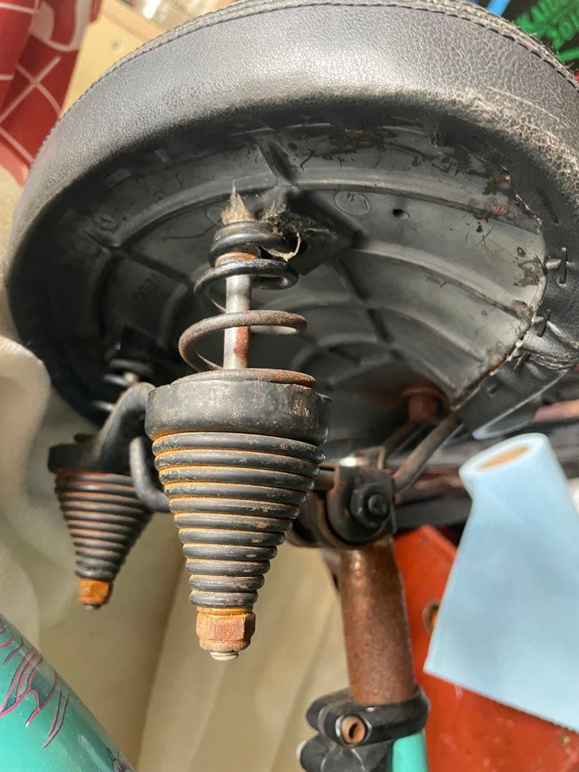 エレクトラ　ビーチクルーザー　蓮の花