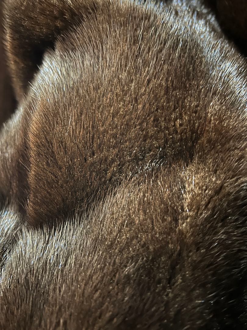 Pierre BalmainミンクファーコートBLACKGLAMA 逆毛仕上げ