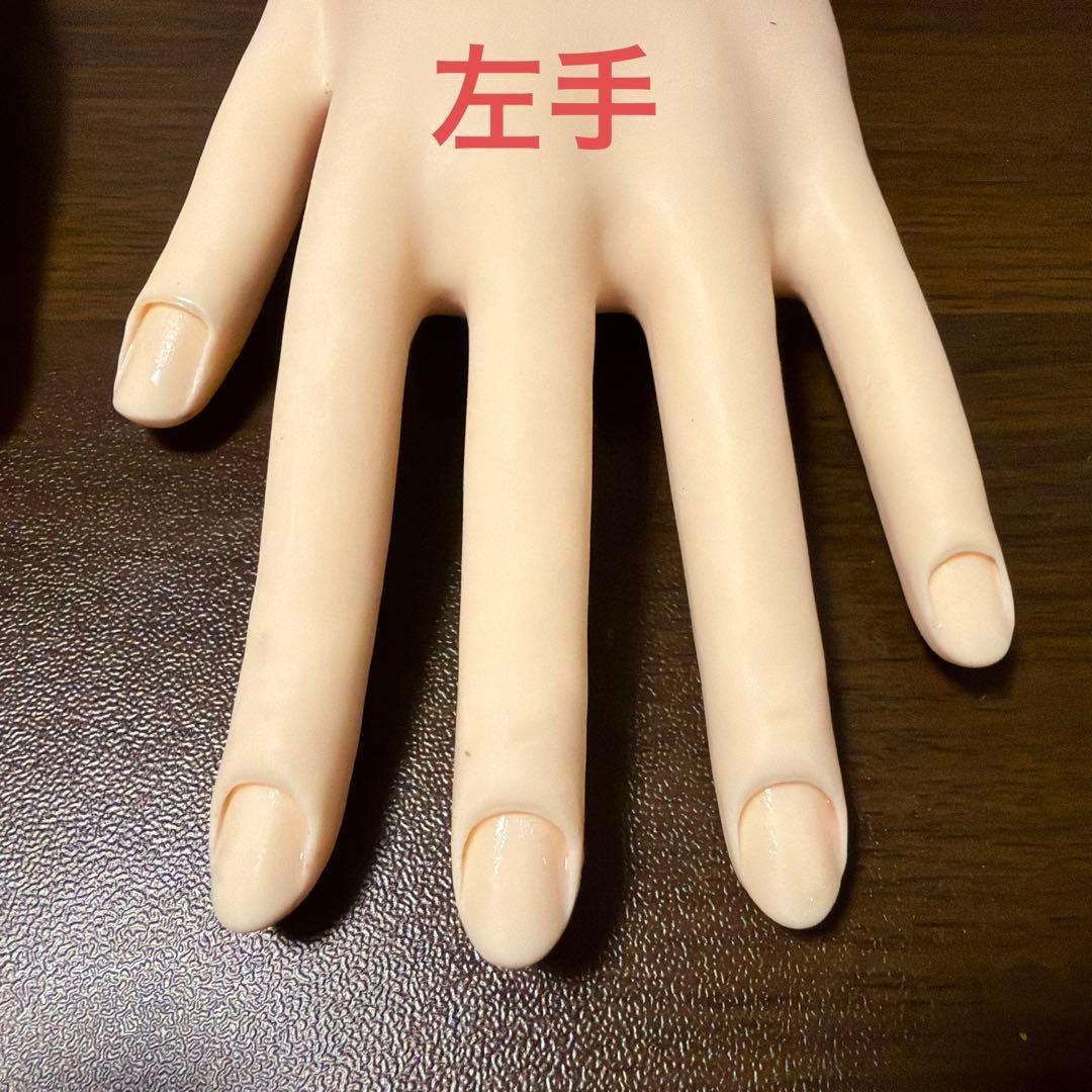 【両手】JNEC認定モデルハンド