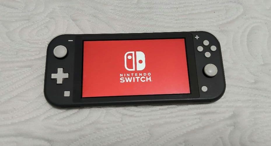 Nintendo Switch Lite 本体 グレー