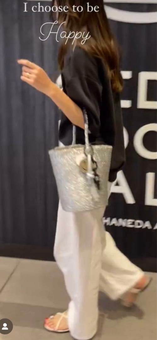 シルバーバケツ型かごバッグ⭐︎meong bule