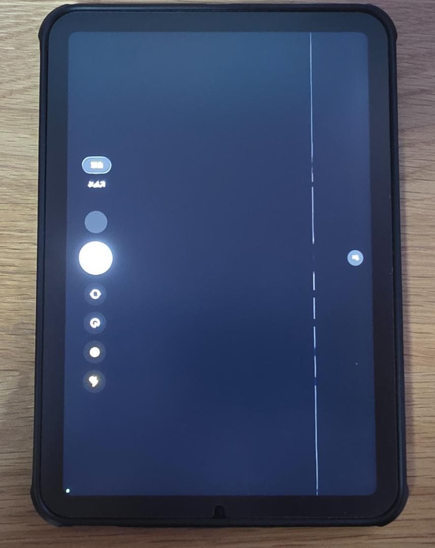 iPad mini6 64GB Wi-Fi 表示不良あり／箱あり／修理・部品取り