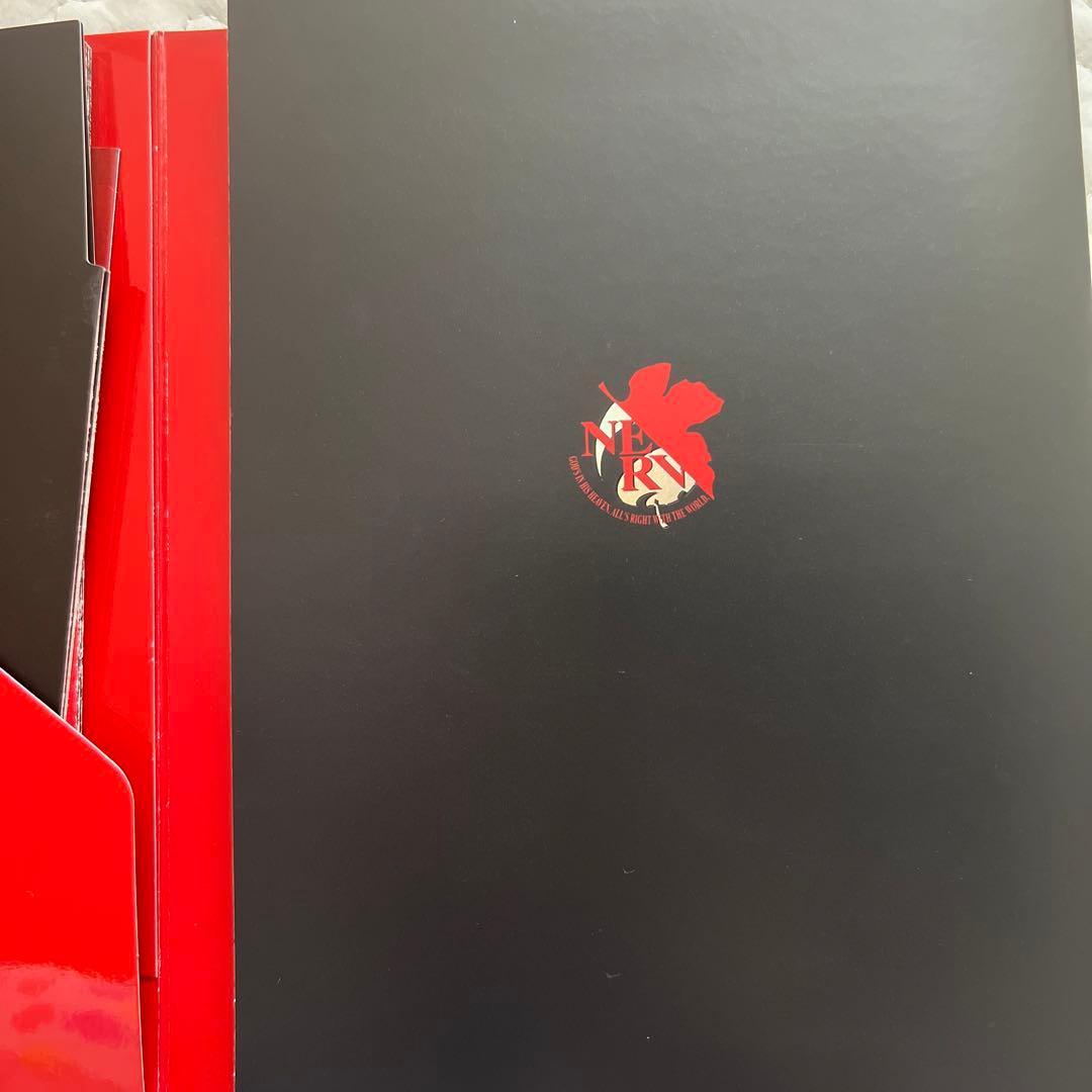 【名シーン】エヴァンゲリオン新劇場版　一点物　綾波レイ生フィルム付DVD グッズ