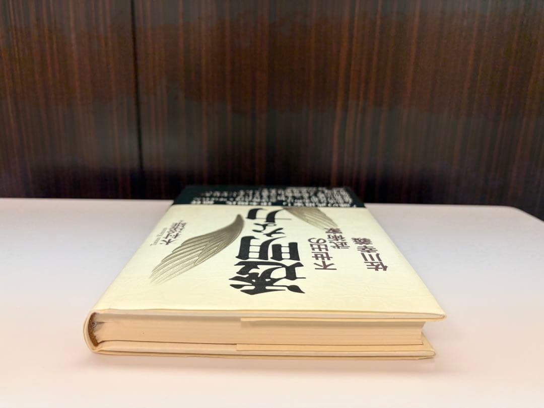 【美品】透明な力★不世出の武術家　佐川幸義★木村 達雄