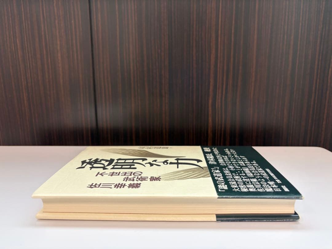 【美品】透明な力★不世出の武術家　佐川幸義★木村 達雄