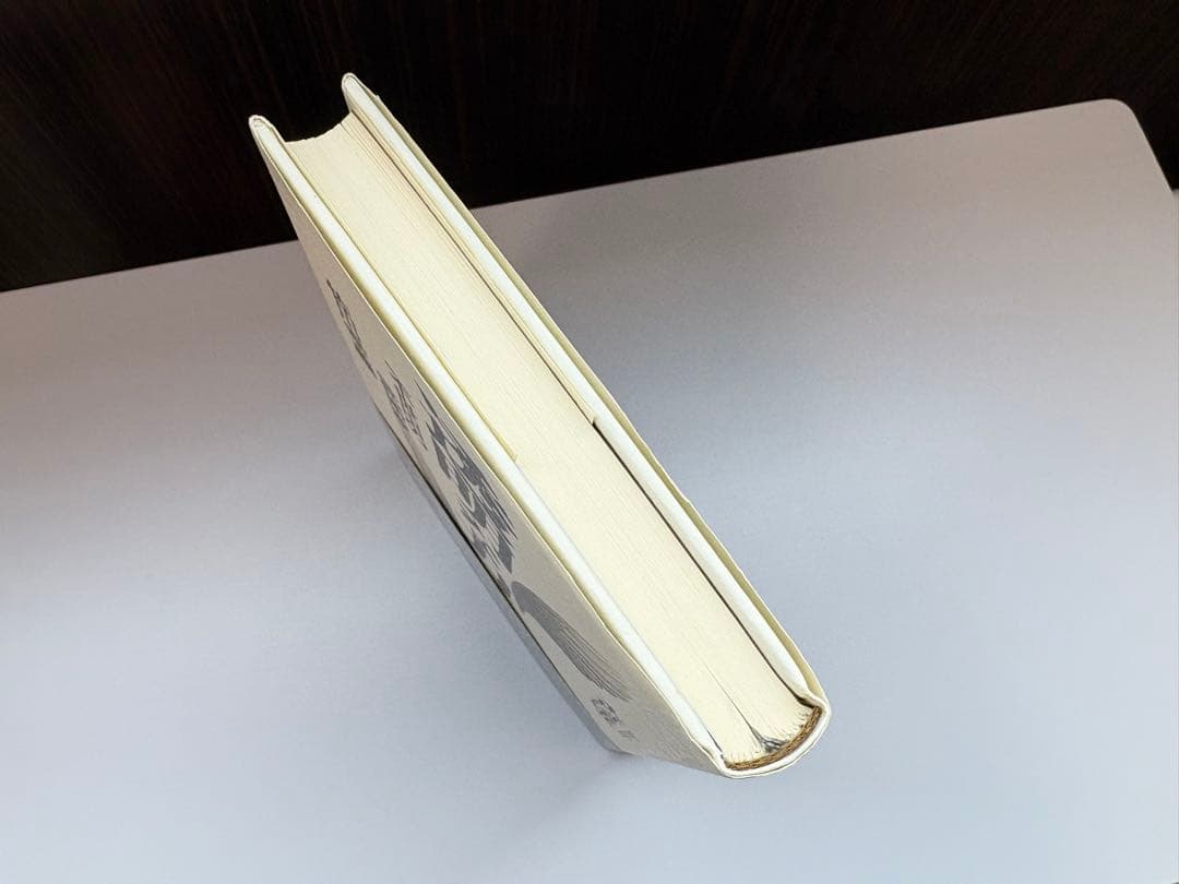 【美品】透明な力★不世出の武術家　佐川幸義★木村 達雄