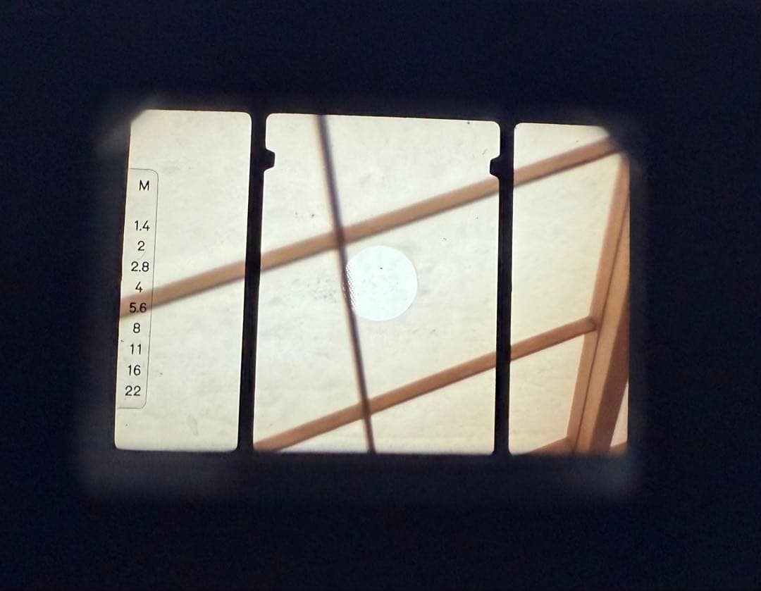 a*e様 Konica FT-1 プロハーフ 一眼レフのハーフ判カメラ