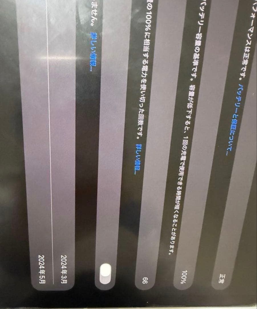 ま*ん様 M4 iPad Pro 256GB セルラーモデル