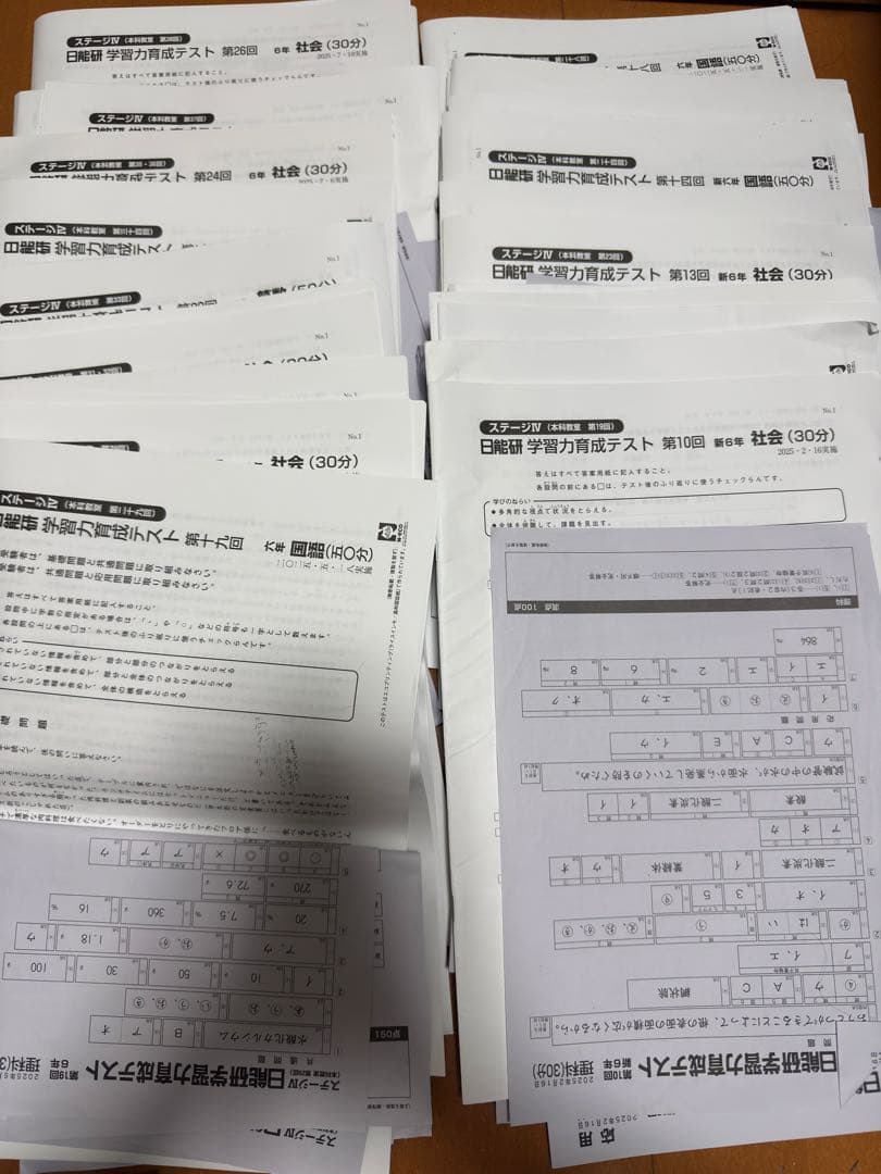 日能研 2025年度 6年生 学習力育成テスト 合格力育成テスト 合計29回分