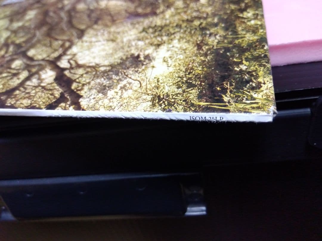 TRAVIS トラヴィス Invisible Band アナログ レコード LP