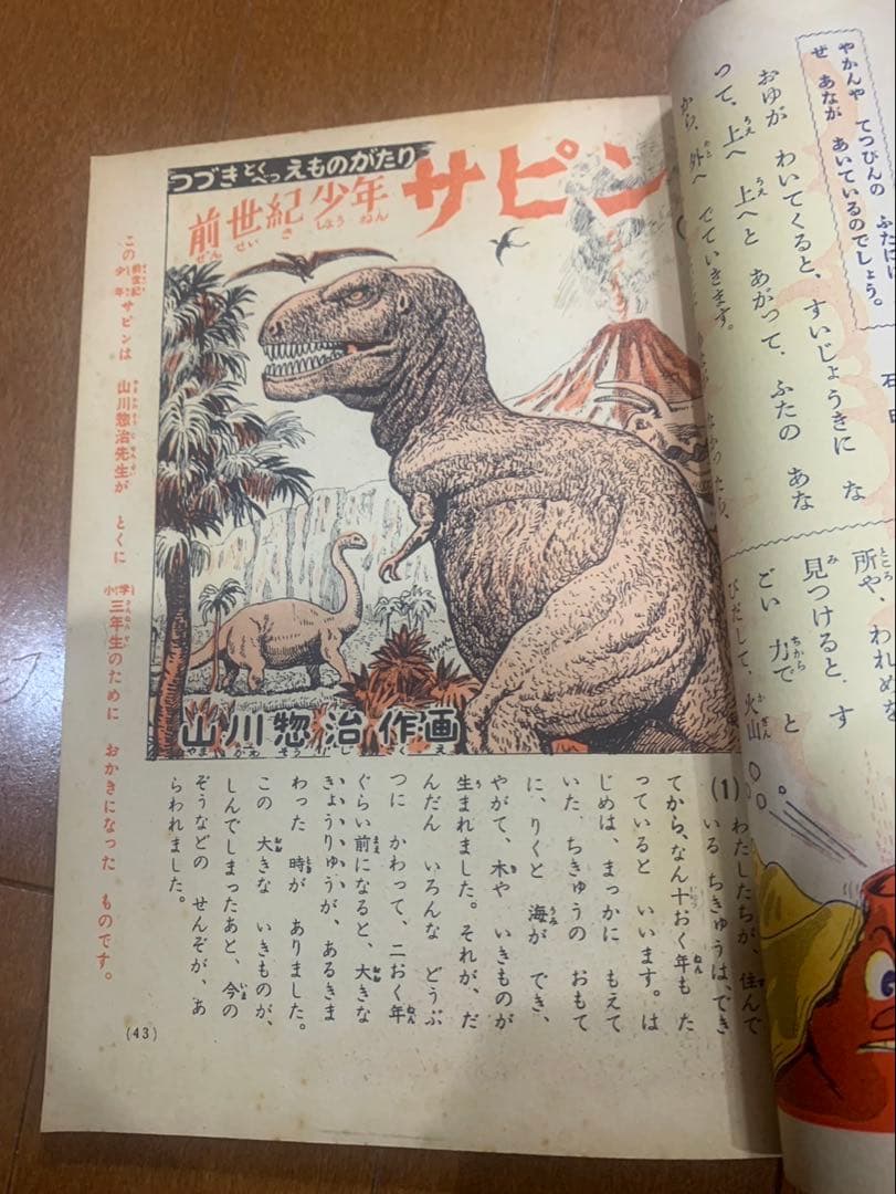 前世紀少年サピン　小学3年生　小学4年生　山川惣治