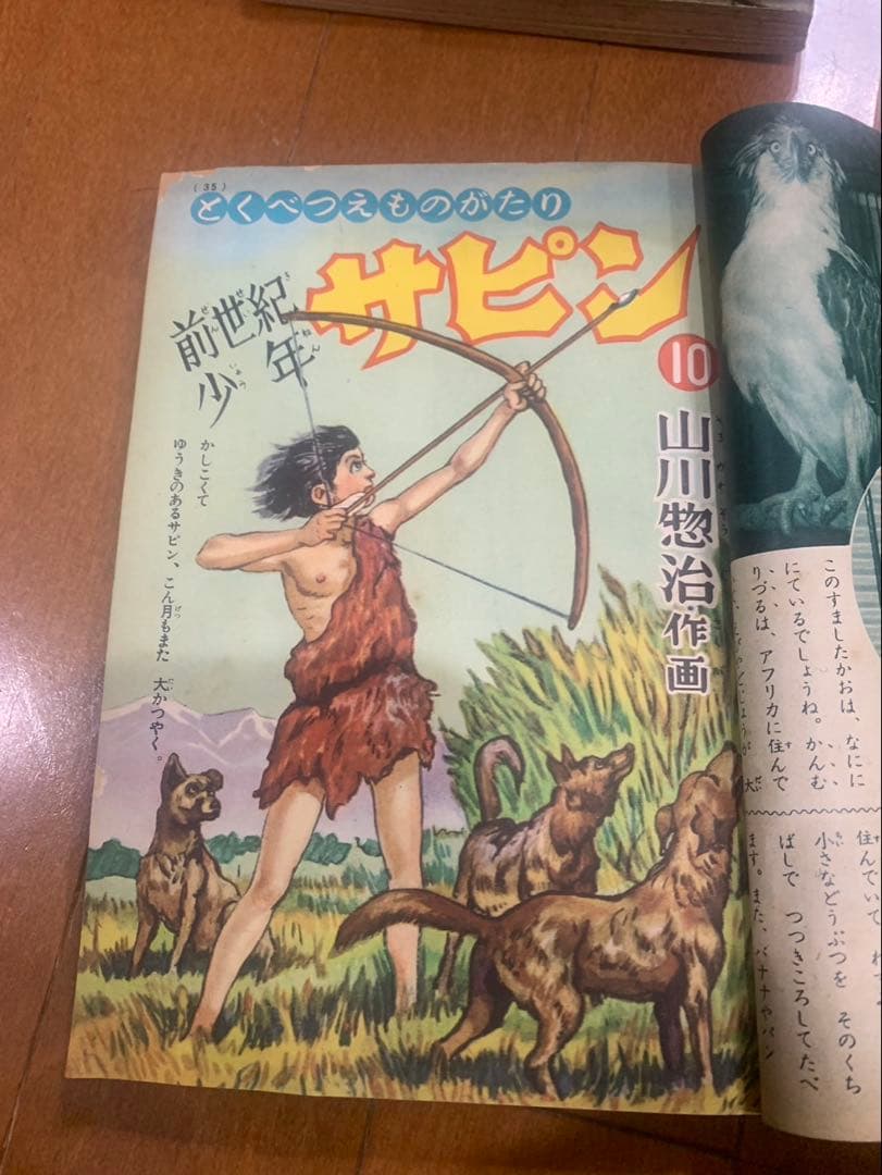 前世紀少年サピン　小学3年生　小学4年生　山川惣治