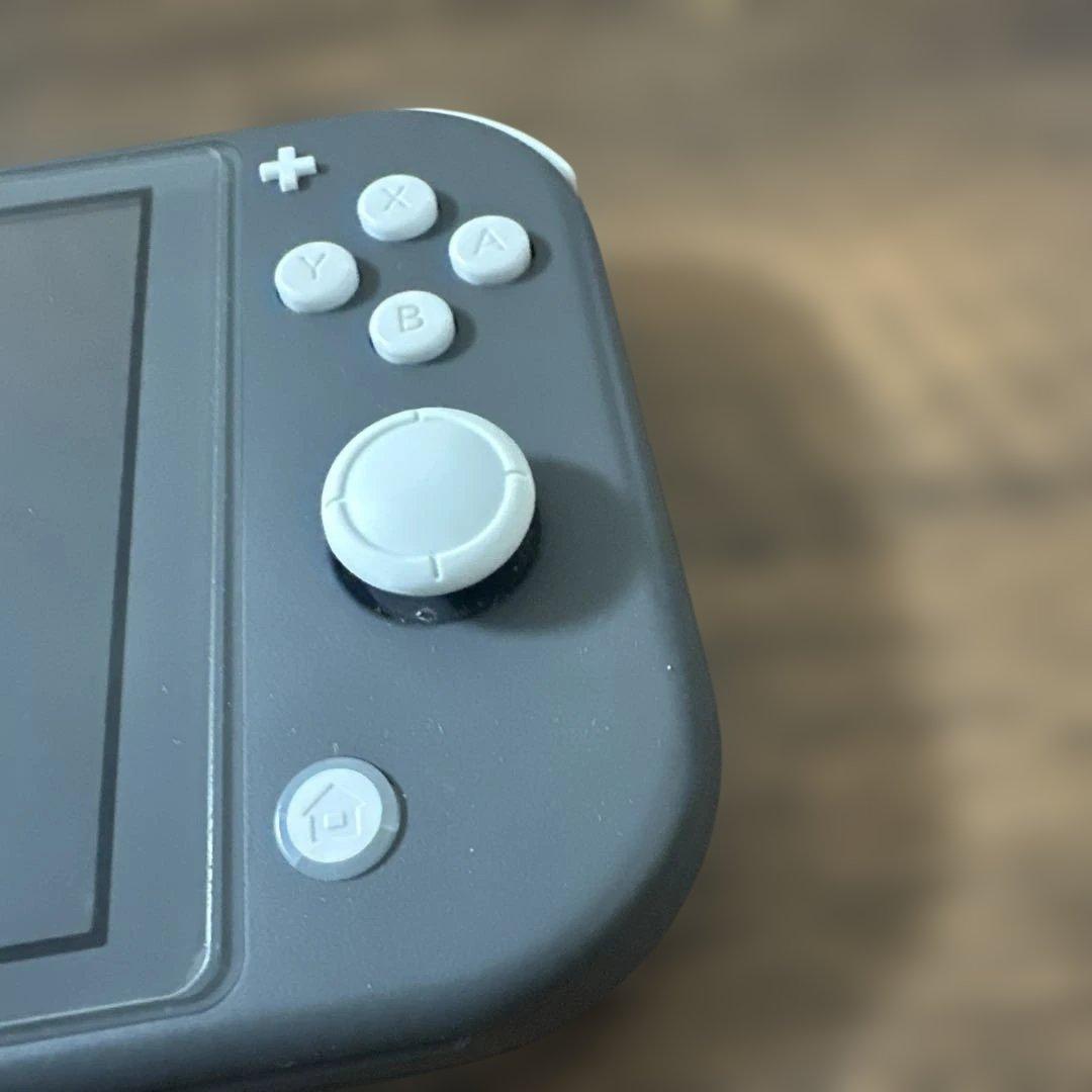 Nintendo Switch Lite グレー ★本体のみ★