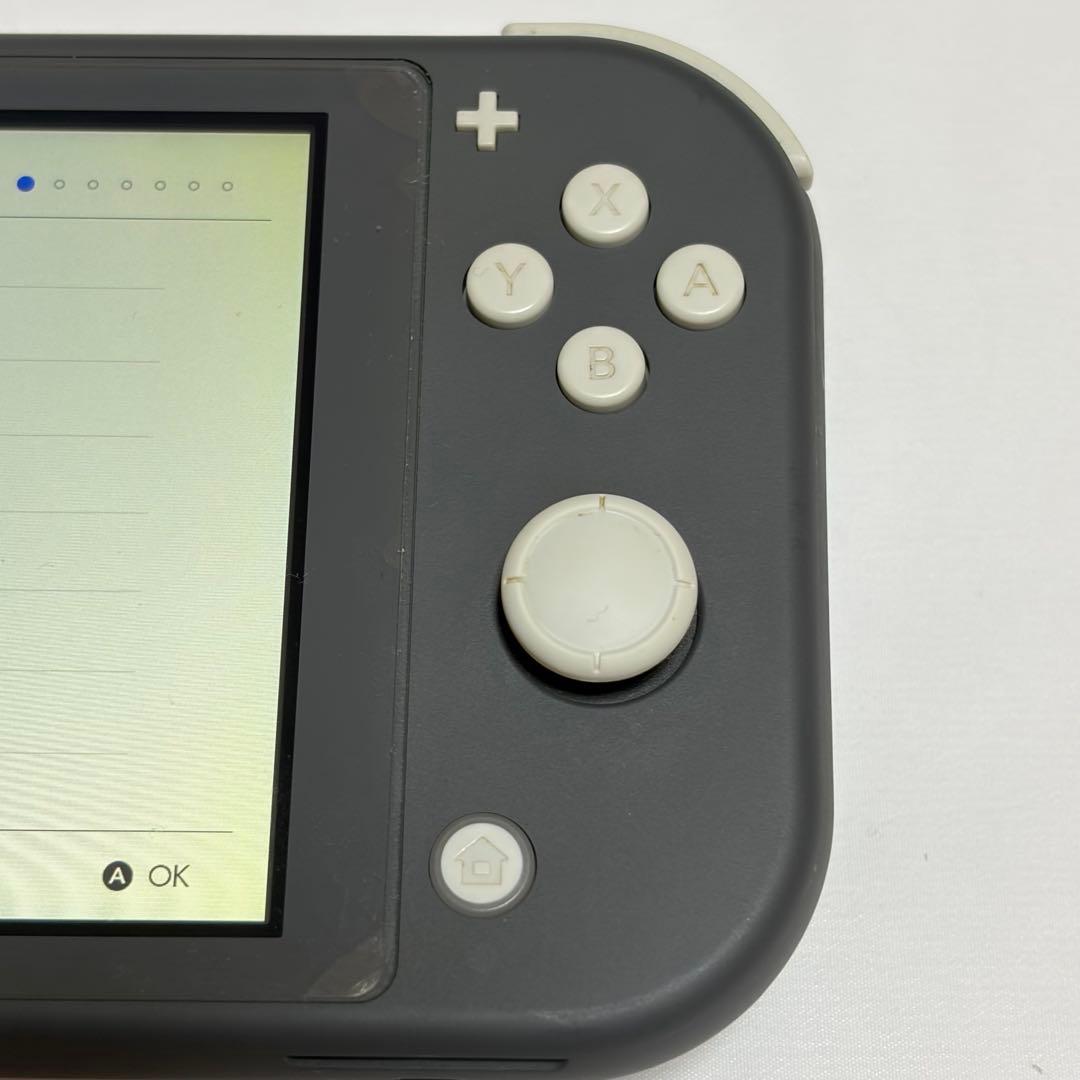 Nintendo Switch Lite 本体 グレー 本体収納ケース付き