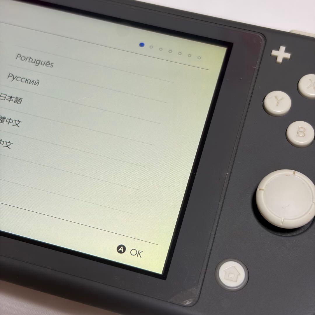 Nintendo Switch Lite 本体 グレー 本体収納ケース付き