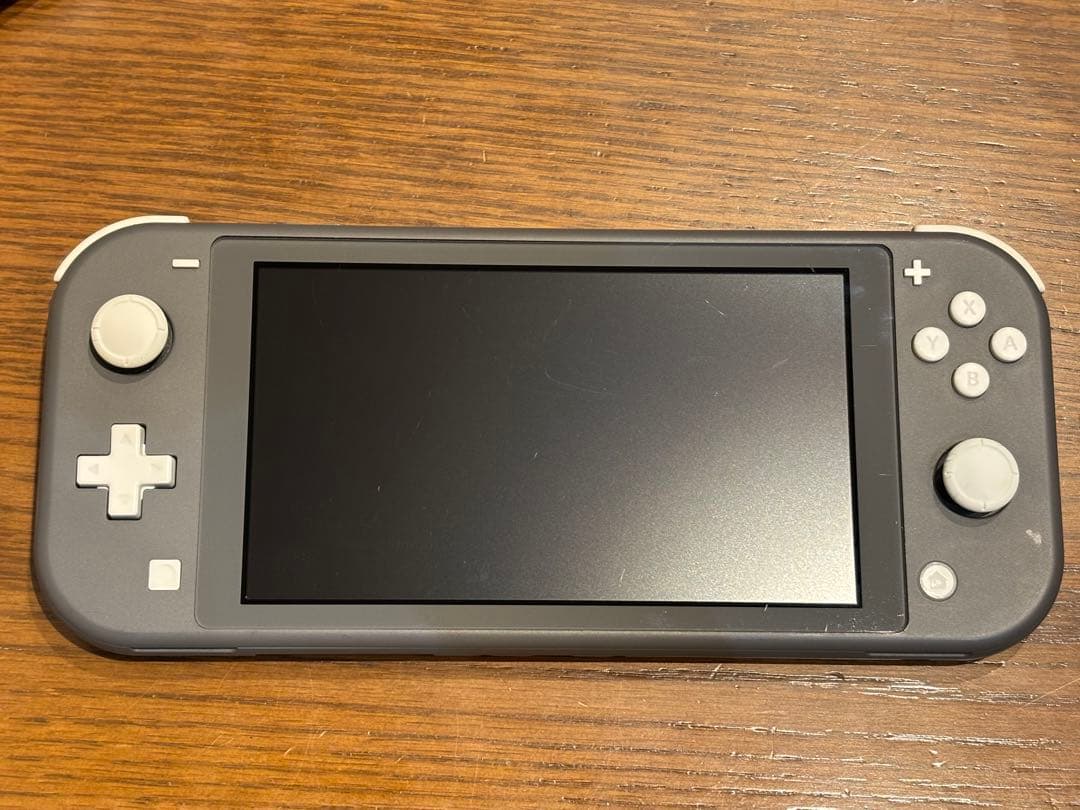 Nintendo Switch lite 本体 充電器 セット
