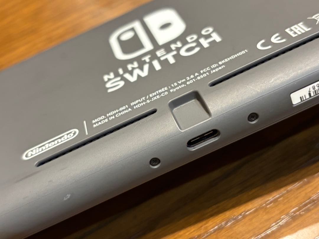 Nintendo Switch lite 本体 充電器 セット