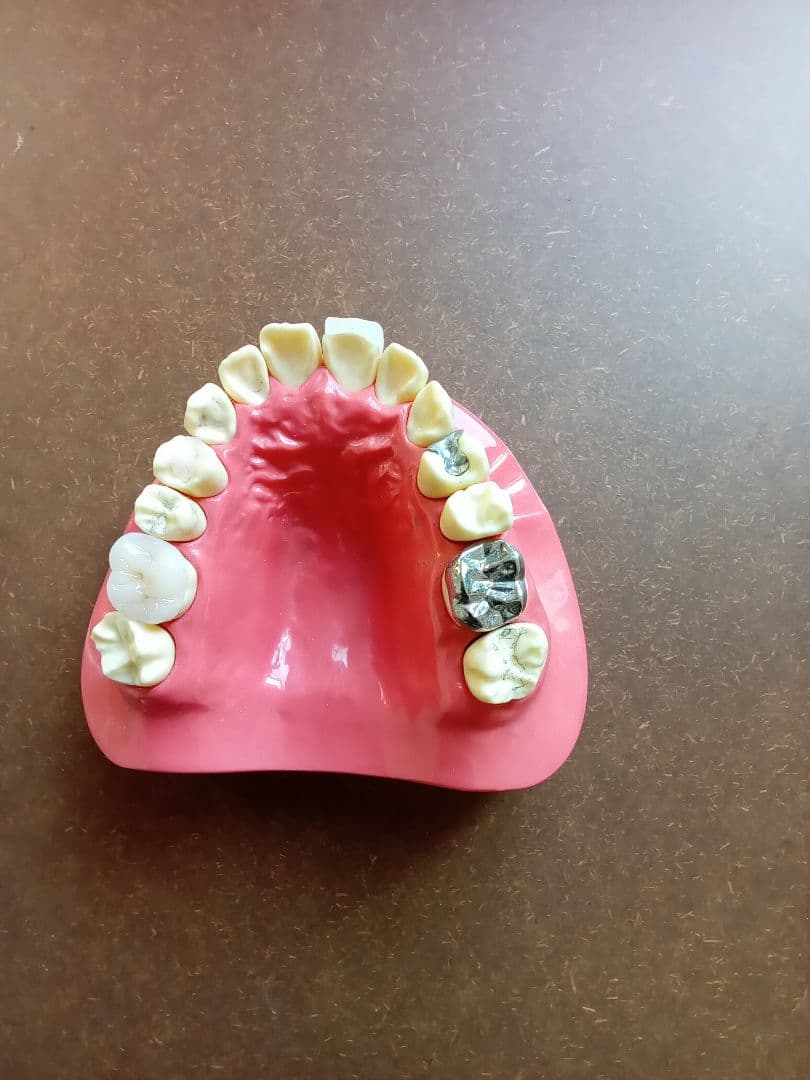 デモンストレーションモデル A1