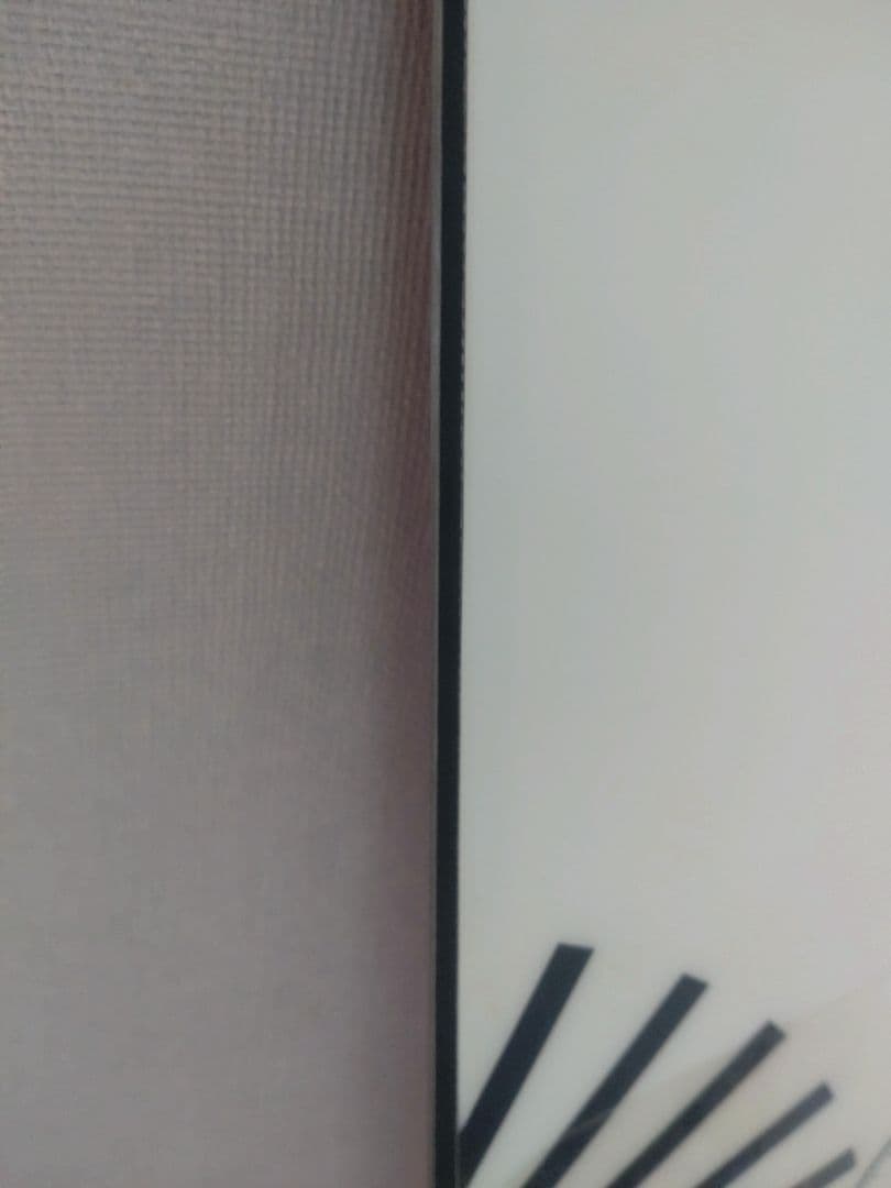 ぴよ様 使用2時間 バタレオン Party Wave 148 Bataleon