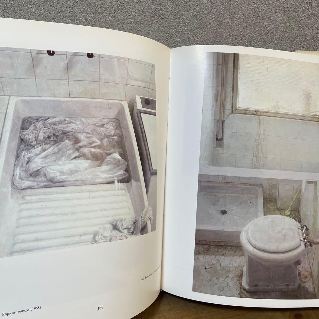 アントニオロペス　アントニオ・ロペス・ガルシア　画集　洋書　油絵