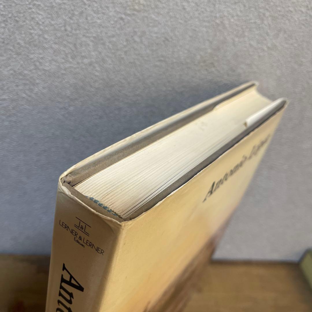 アントニオロペス　アントニオ・ロペス・ガルシア　画集　洋書　油絵