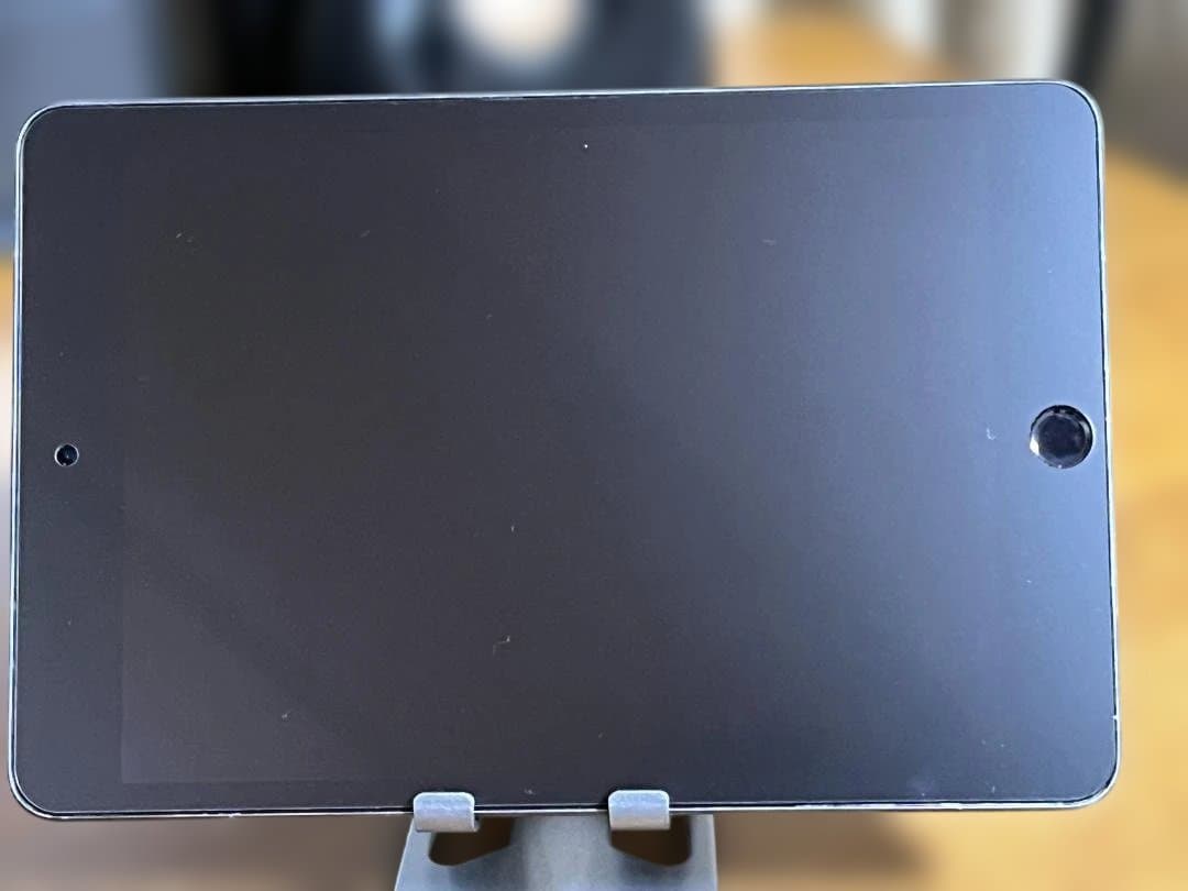 た*と様 iPad mini 第5世代 64GB　バッテリー交換済