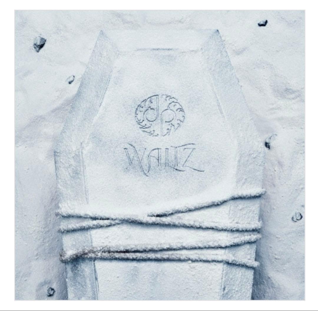 m*m様 【龍宮城】WALTZ ＜完全生産限定盤/白盤＞+通常版