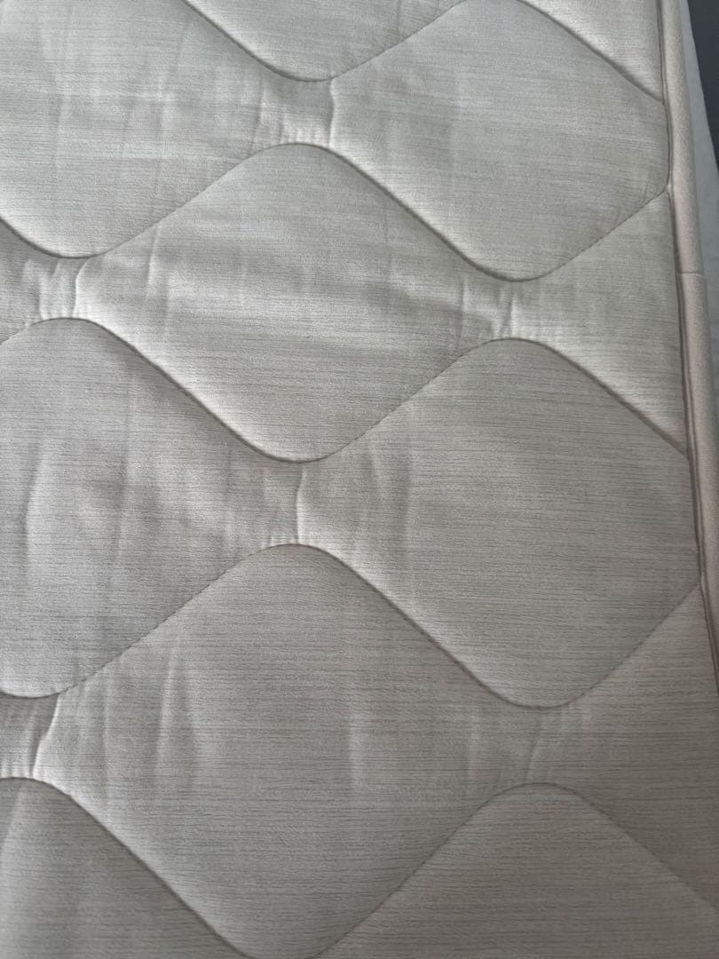 丸八真綿　ファートン　ムートン