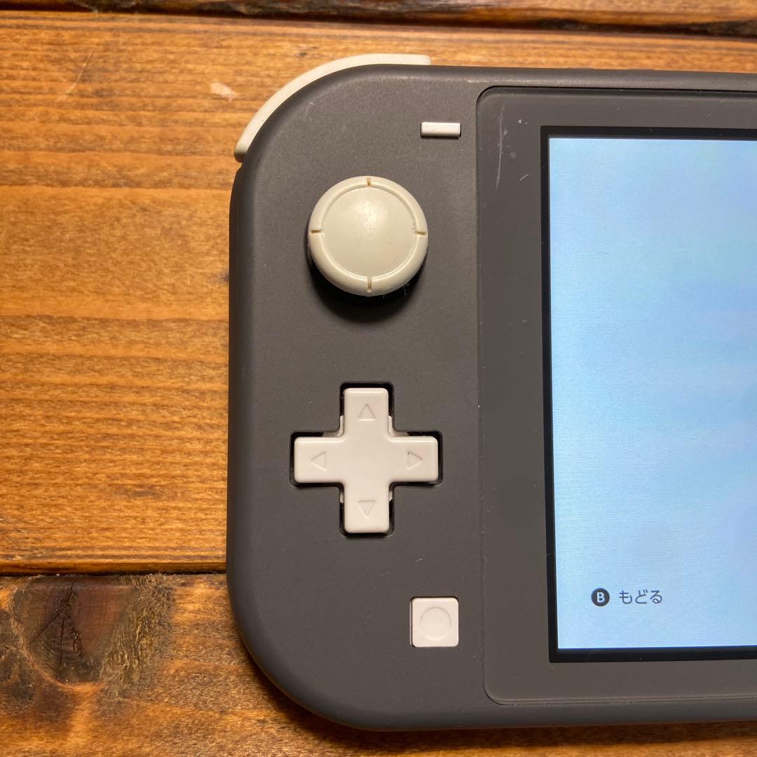 樹*里様 ニンテンドースイッチ　ライト