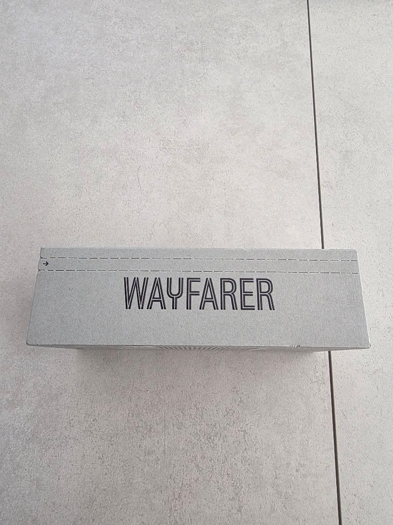 Ray-Ban Wayfarer カメラ搭載サングラス　RW4008