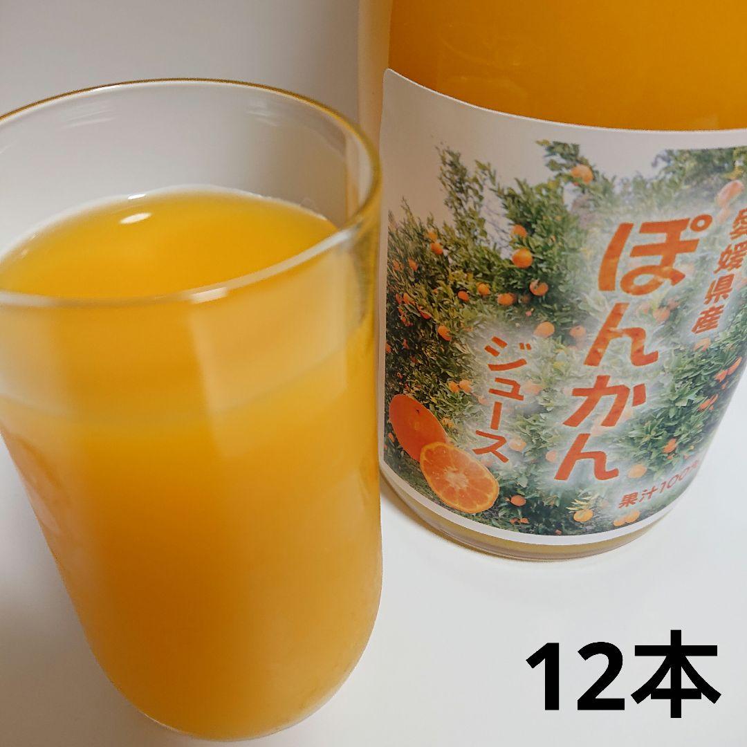 愛媛県産ぽんかんジュース 720ml 12本セット