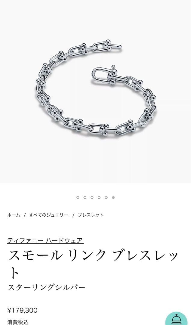 2025/5 正規店購入 ティファニー スモールリンクブレスレット ハードウェア