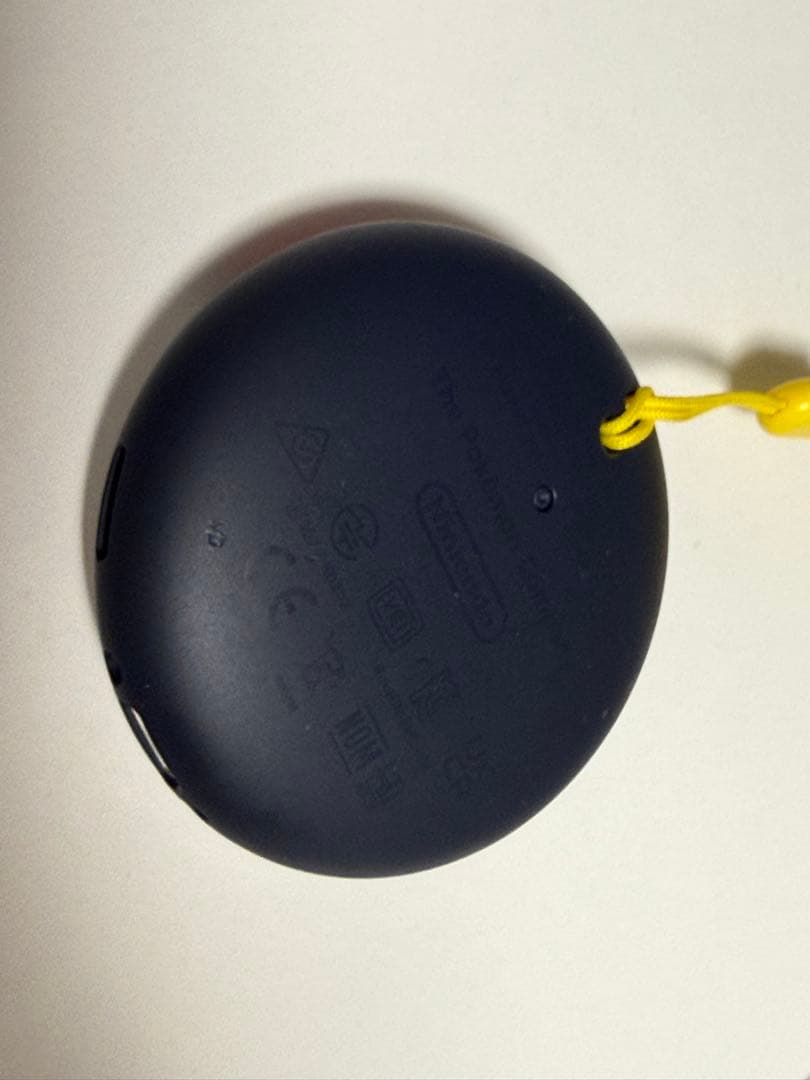 ポケモンＧＯ　plus+