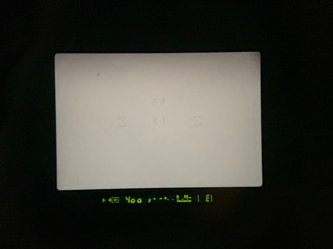 フィルムカメラ NIKON F100