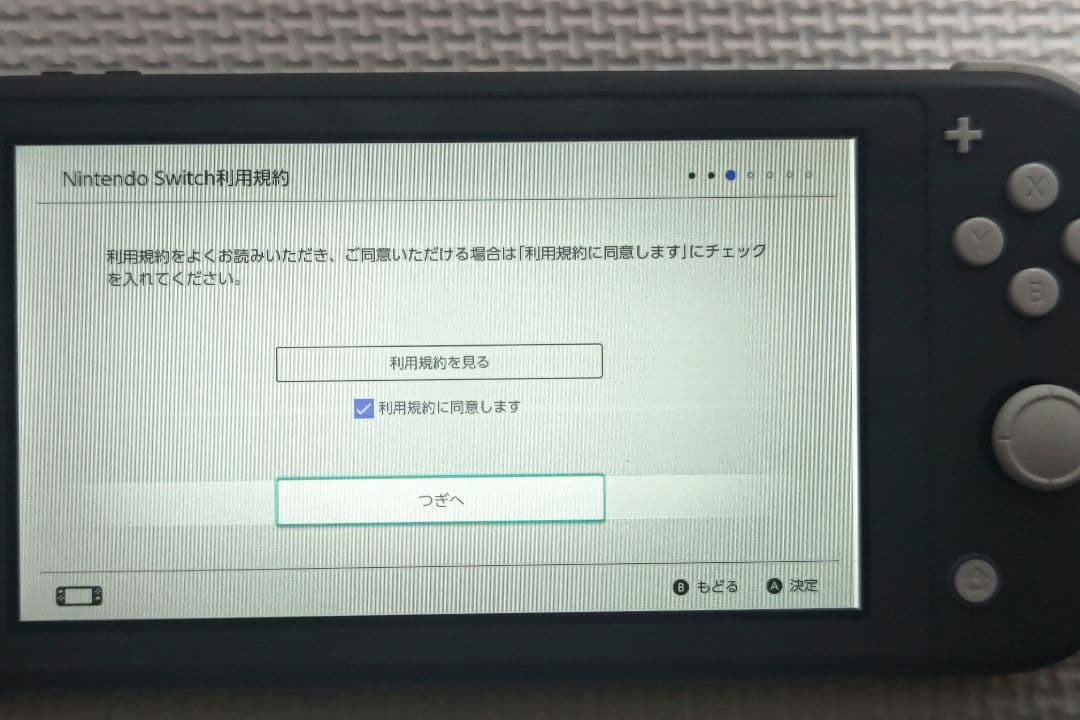 【ジャンク品】Nintendo Switch Lite グレー 本体