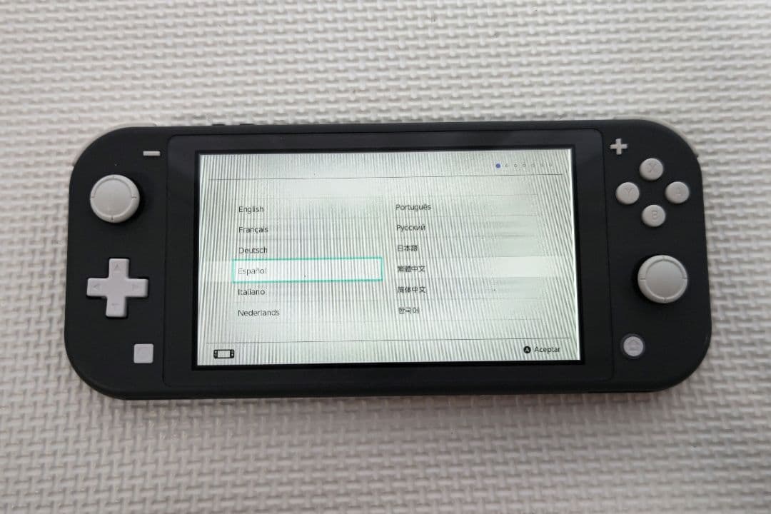 【ジャンク品】Nintendo Switch Lite グレー 本体