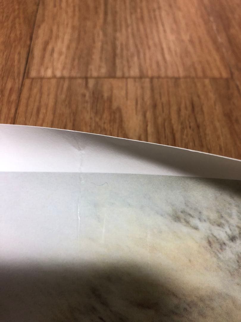 非売品 salyu 3rdシングル「peaty」 販促ポスターB2