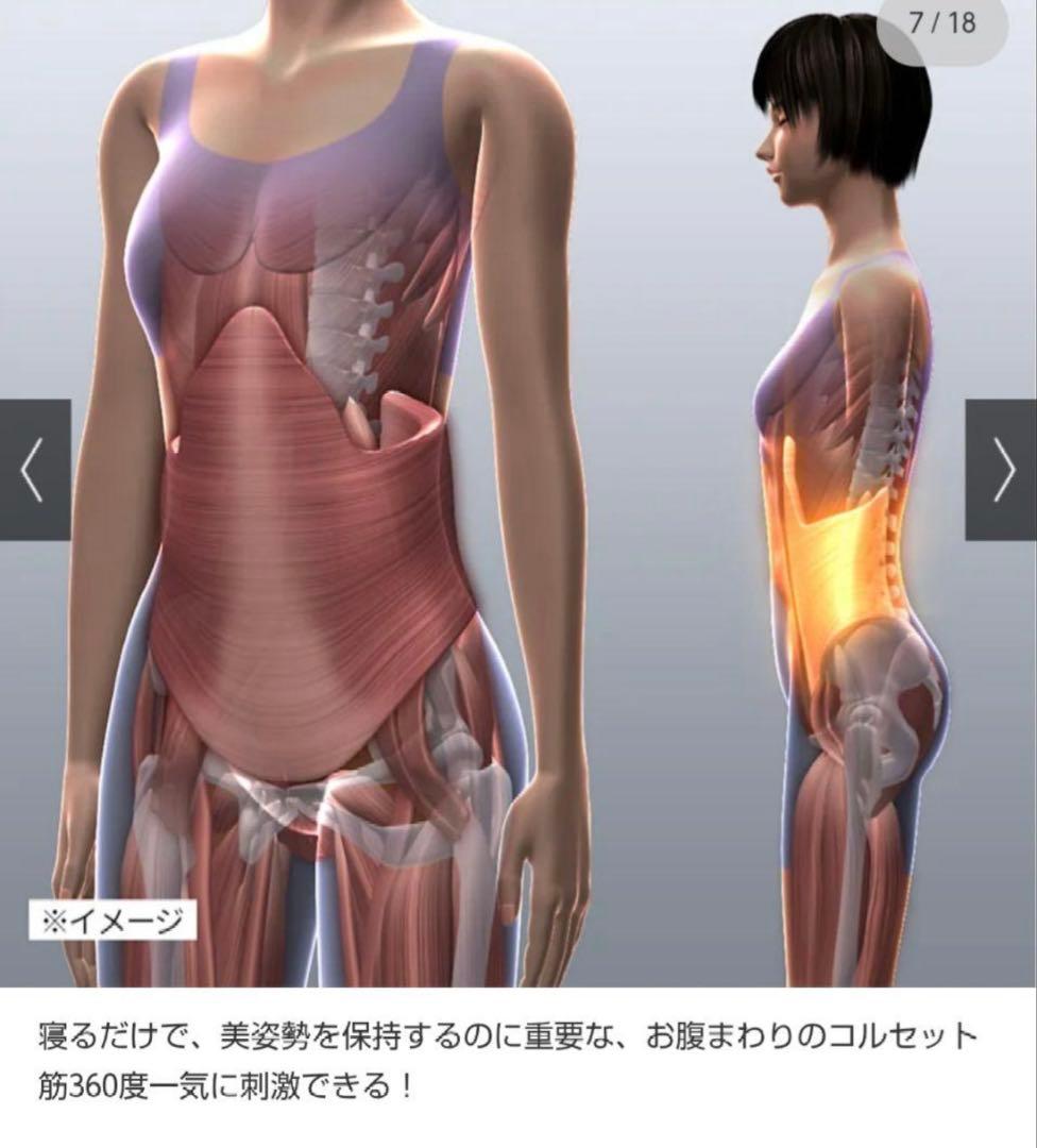 ポルト AirPlie DELUXE エアプリエ DELUXデラックス　美品