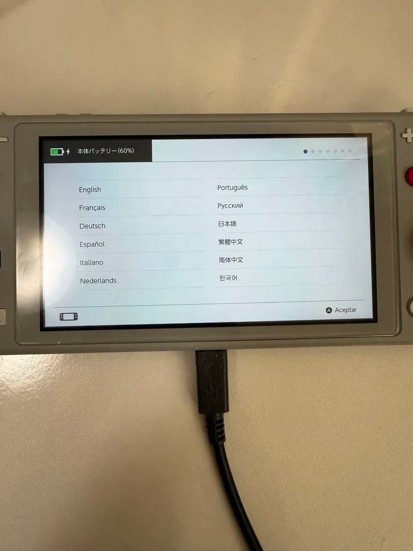 F*c様 Nintendo Switch Lite ポケモンデザイン