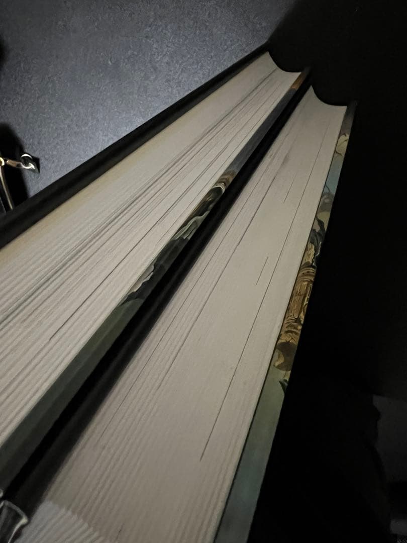 【美品】サルヴァドール•ダリ 全画集 日本語版 絶版 第2部 2冊組