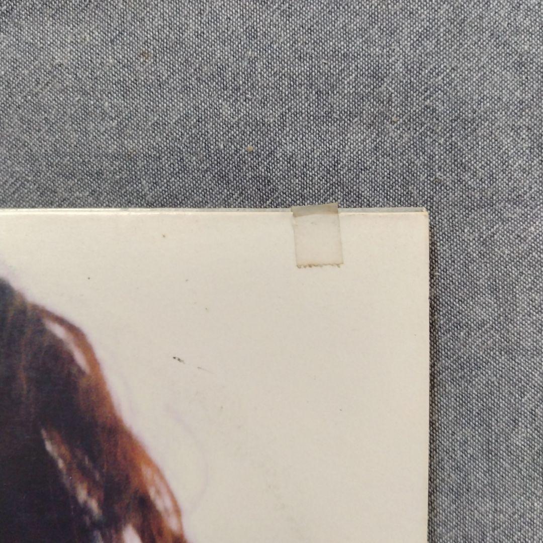 洋楽 Amy Winehouse Lioness: Hidden Treasures