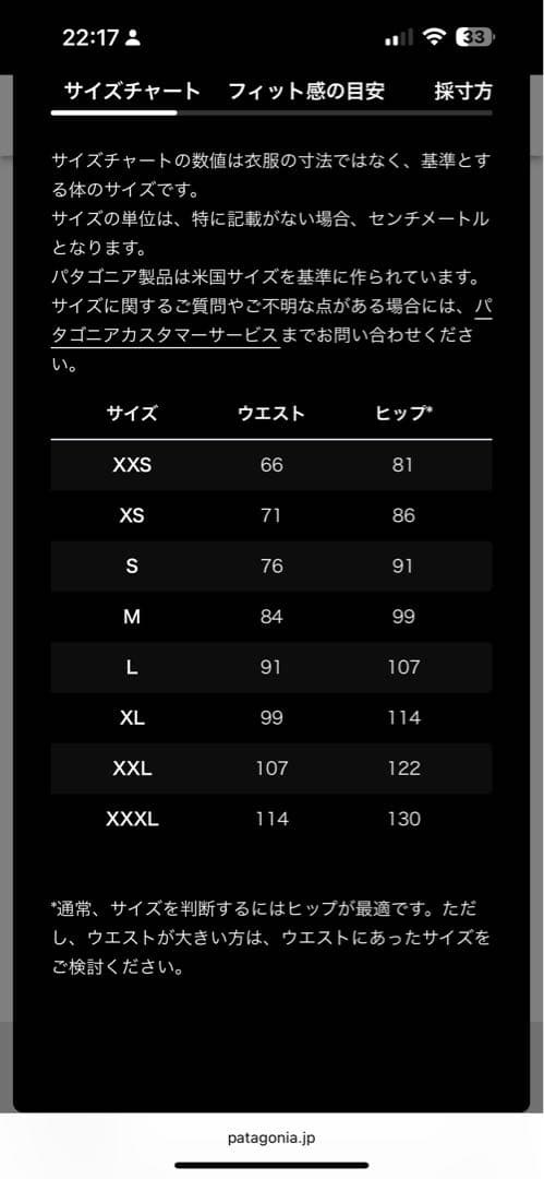 Patagonia スノードリフター セットアップ