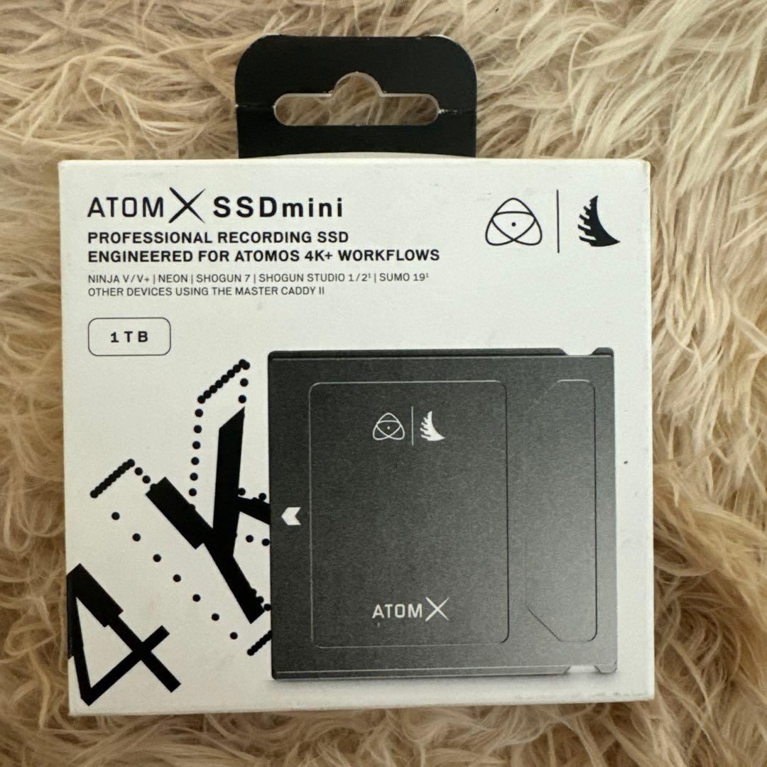【新品保証有】AtomX SSDmini 1 TB